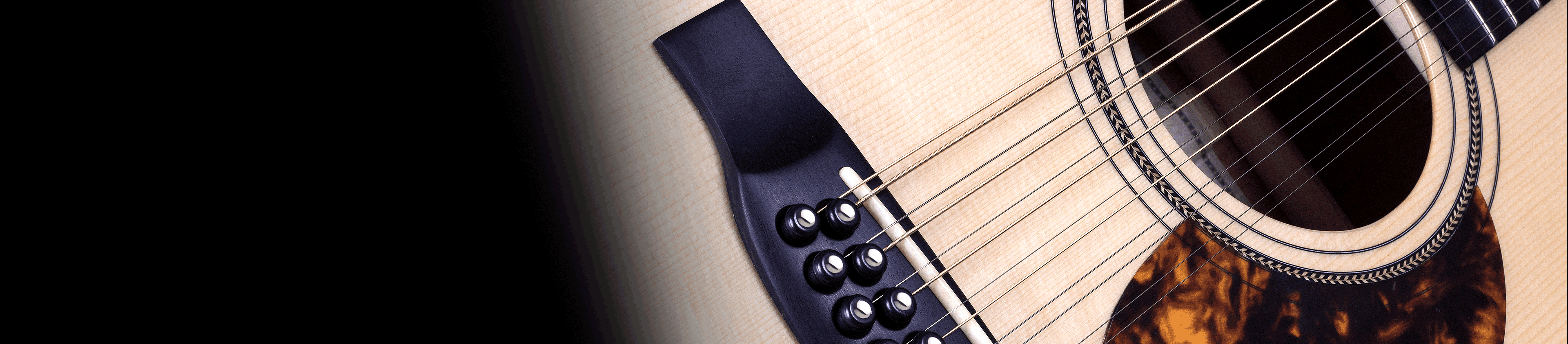 12 String Series