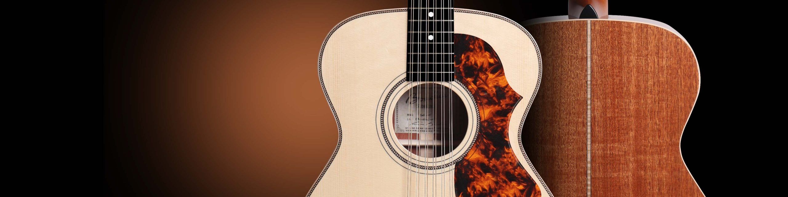 12 String Series