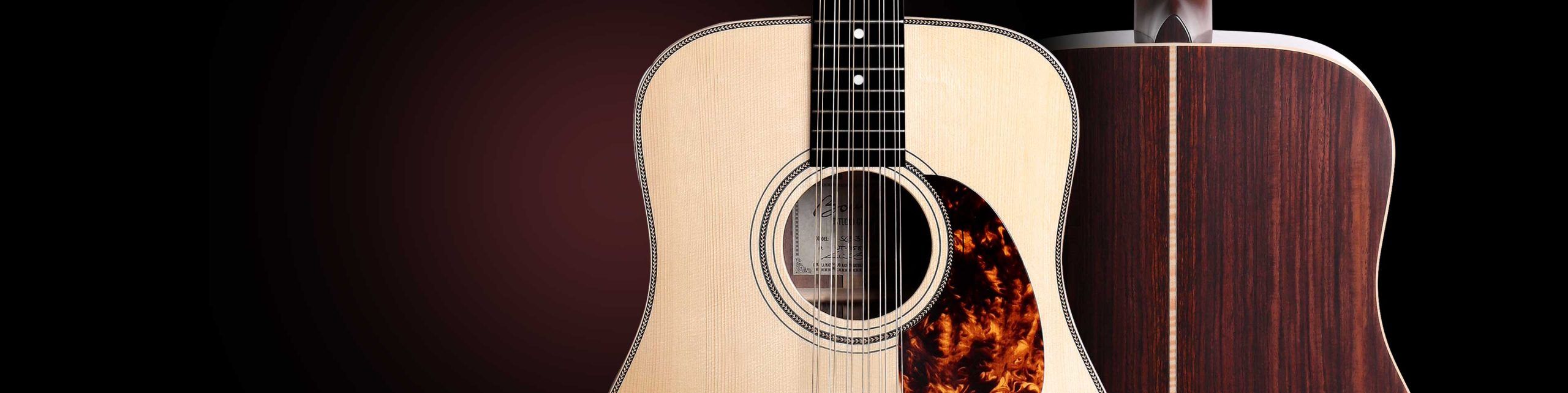 12 String Series